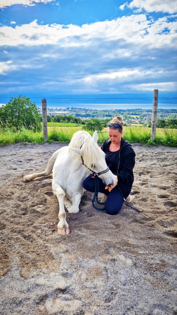 Cheval et complicité
Dressage Marin Hautes-Savoie, Leman Chablais